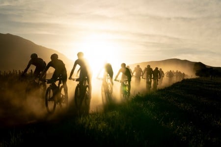Fastest Fingers Win the Race to Test the Legs